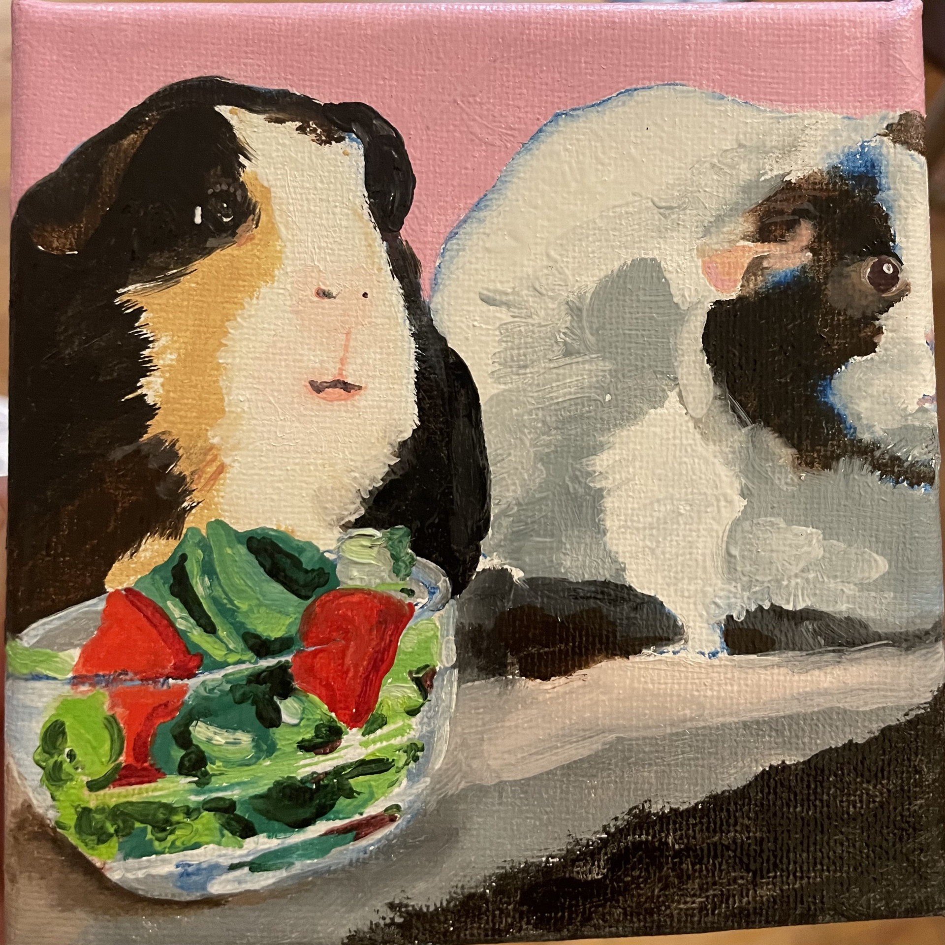 Guinea Pigs with Salad