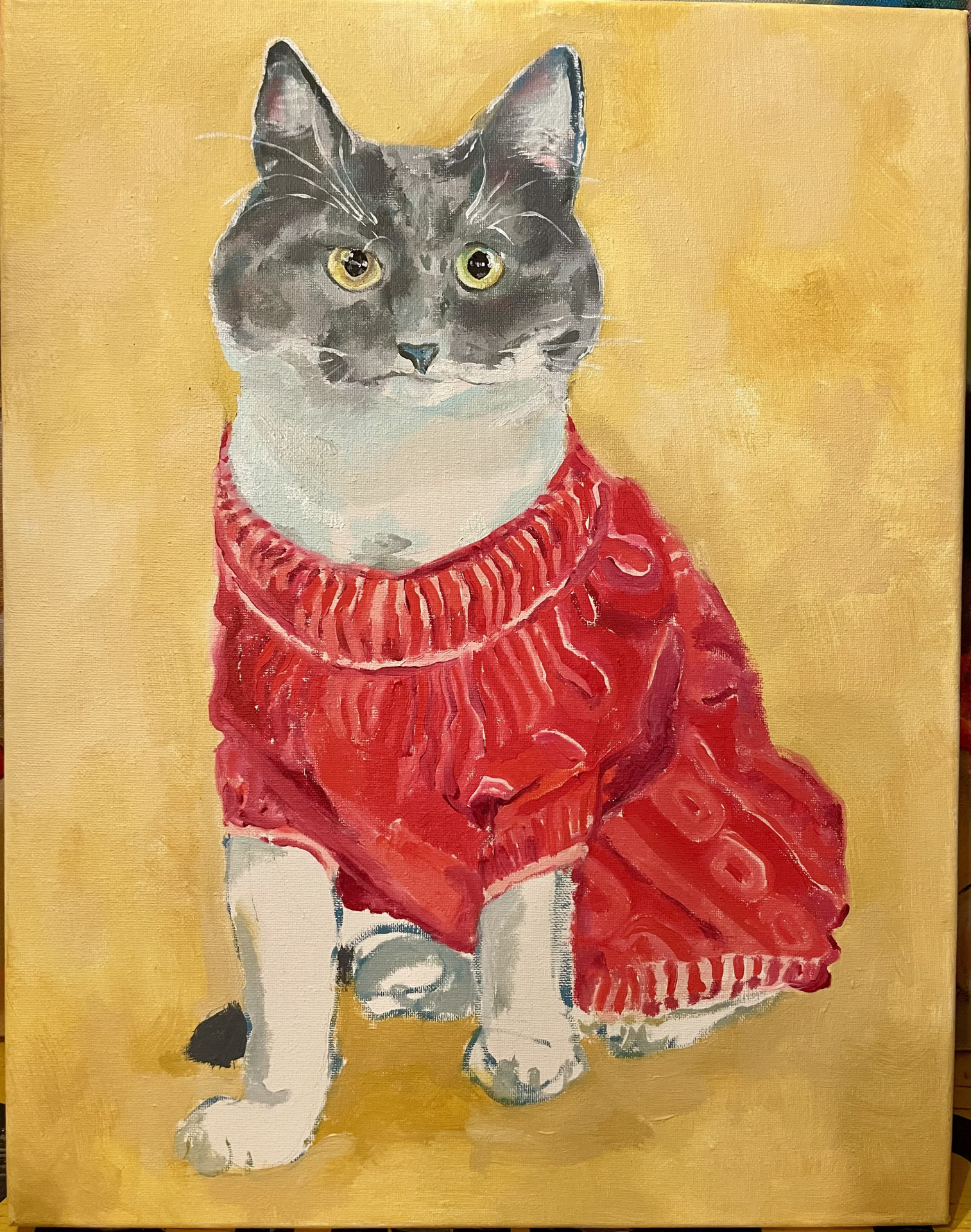 Cat in Red Sweater