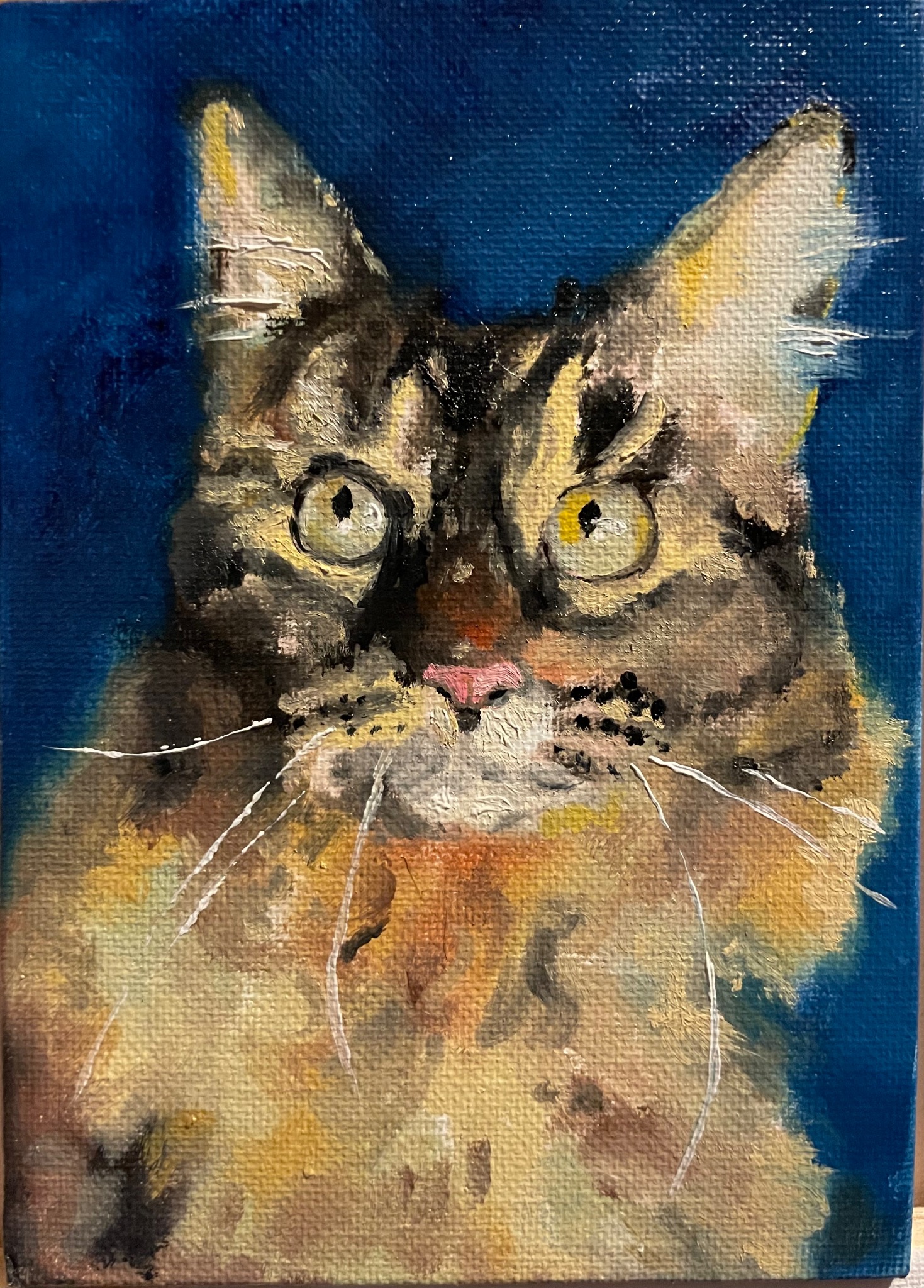 Cat Portrait